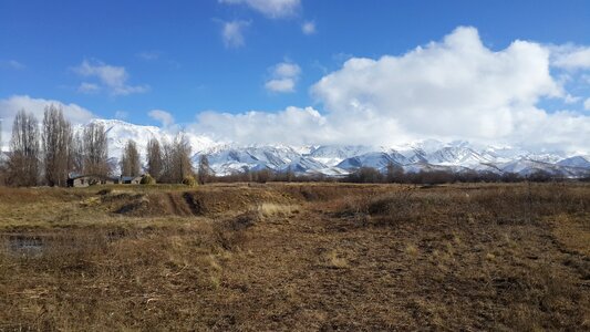 Landscape winter trees photo