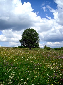Nature hochrhoen rhön