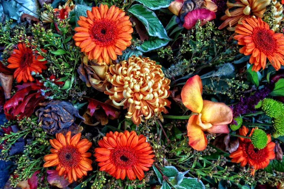 Bouquet of flowers decoration colourful