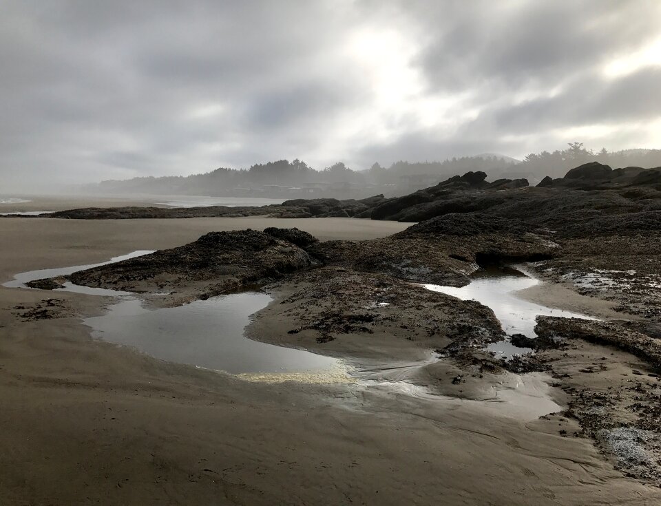 Low tide oregon coast