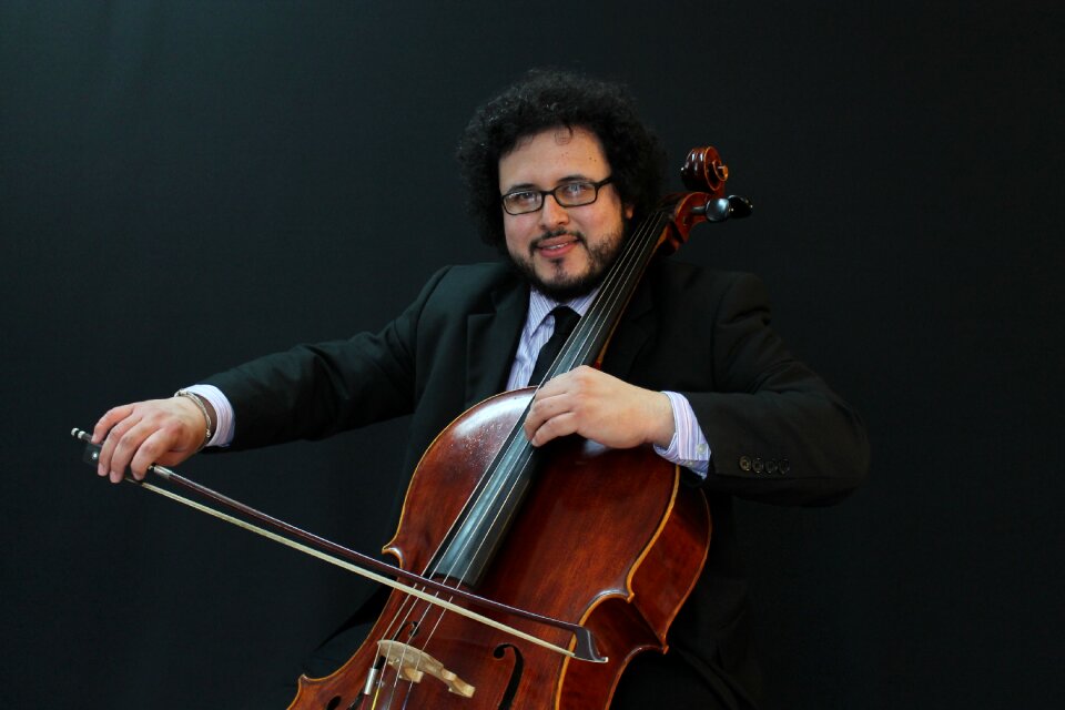 Violin master black