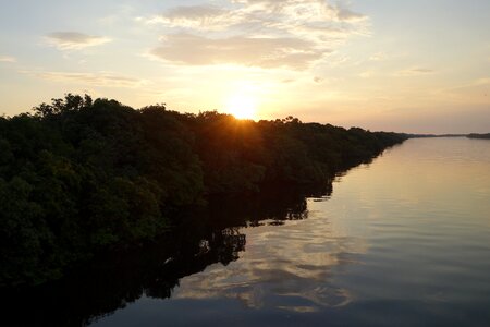 Brazil rio negro morgenstimmung photo