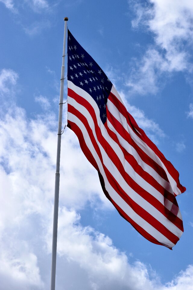 Flag american national
