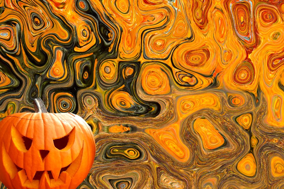 Harvest orange gourd