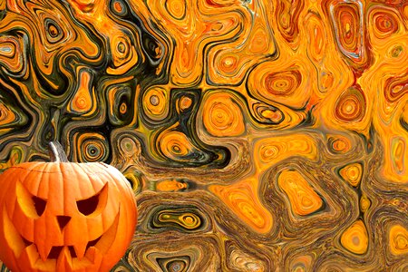 Harvest orange gourd