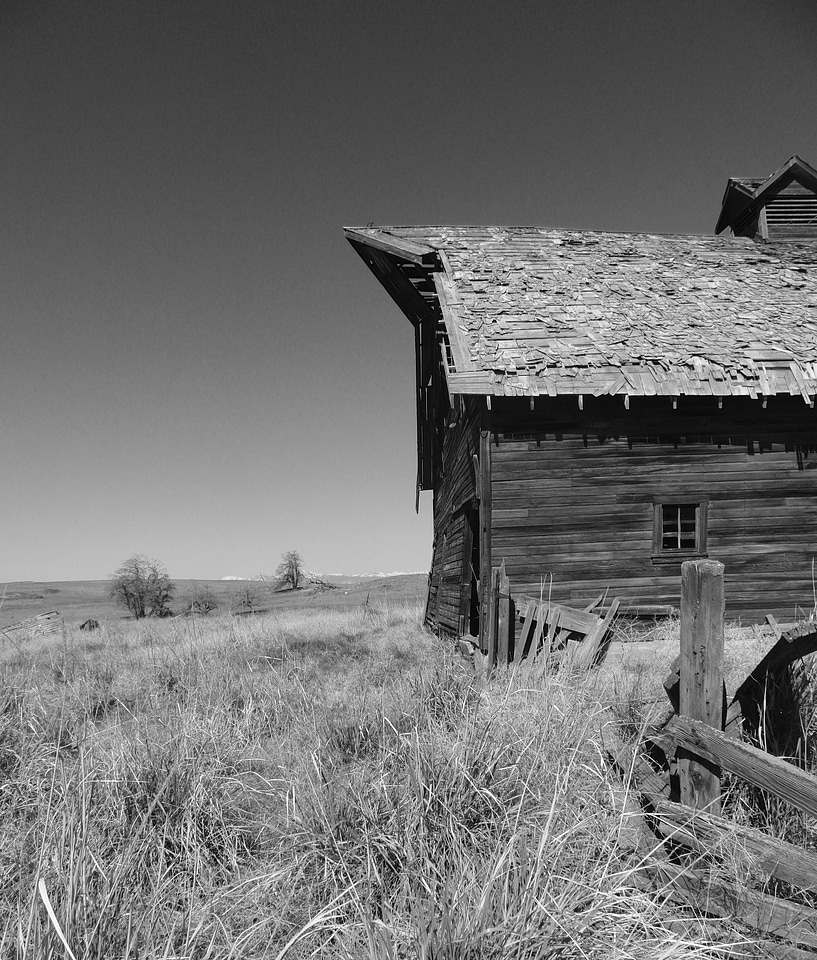 Farm abandoned processed