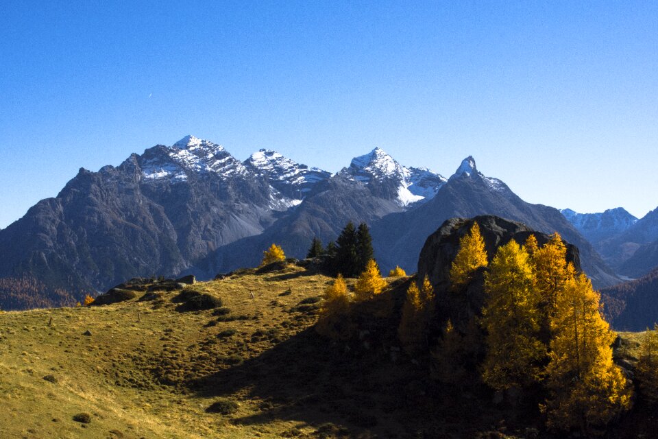 Landscape nature farbenpracht