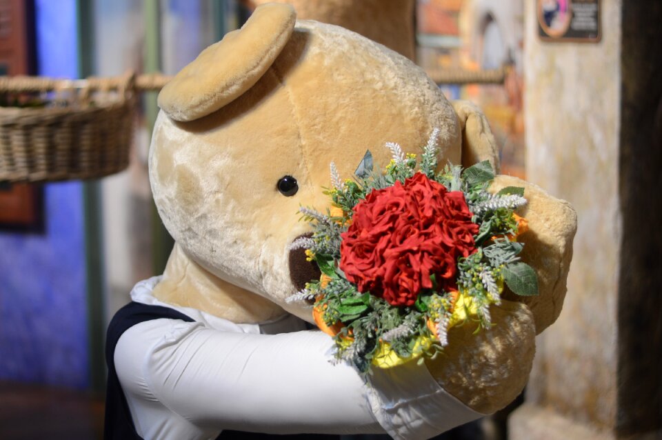 Teddy bear doll marriage proposal