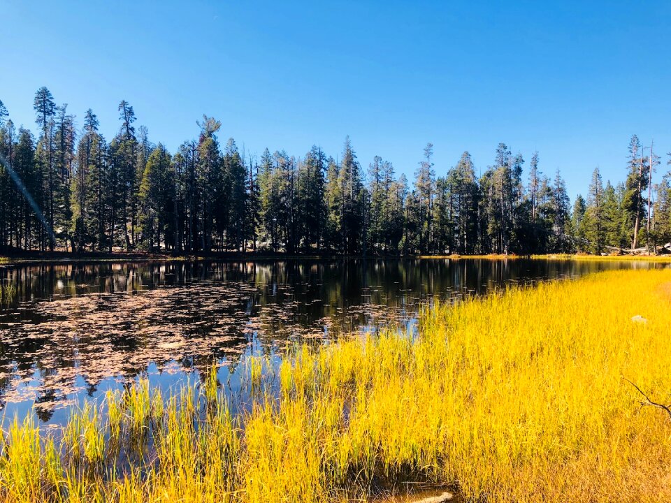 Nature outdoor