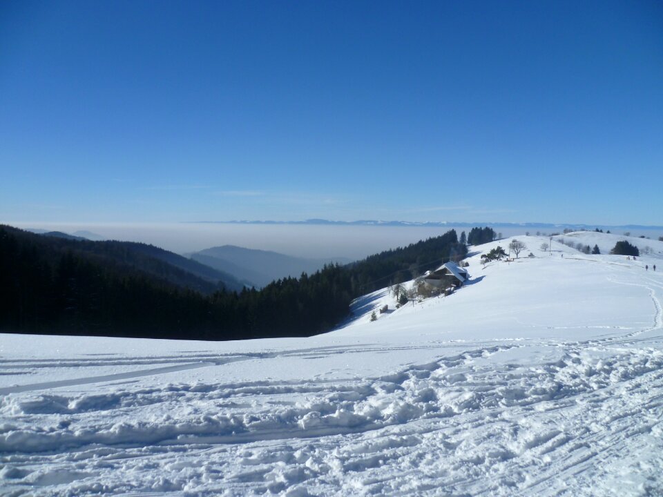 Mountains fog black forest
