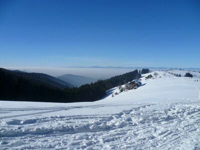 Mountains fog black forest