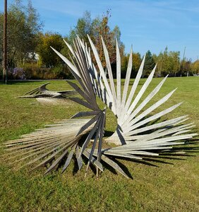 Wood nature garden culture