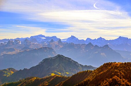 Alpine foresight mountains photo