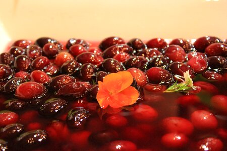 Dessert sherrie fruit