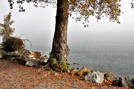 Haze lake light