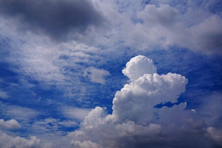 The cloud noon bobbing