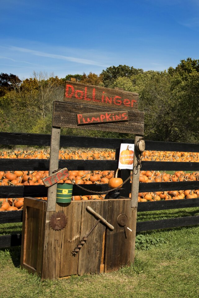Harvest patch field