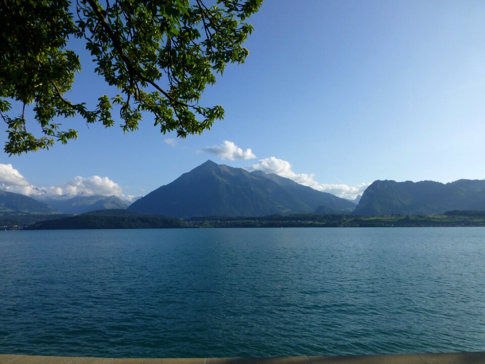 Sneezing lake thun nature photo