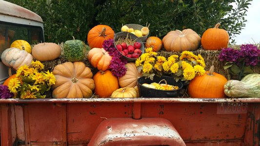 Fall vegetable truck