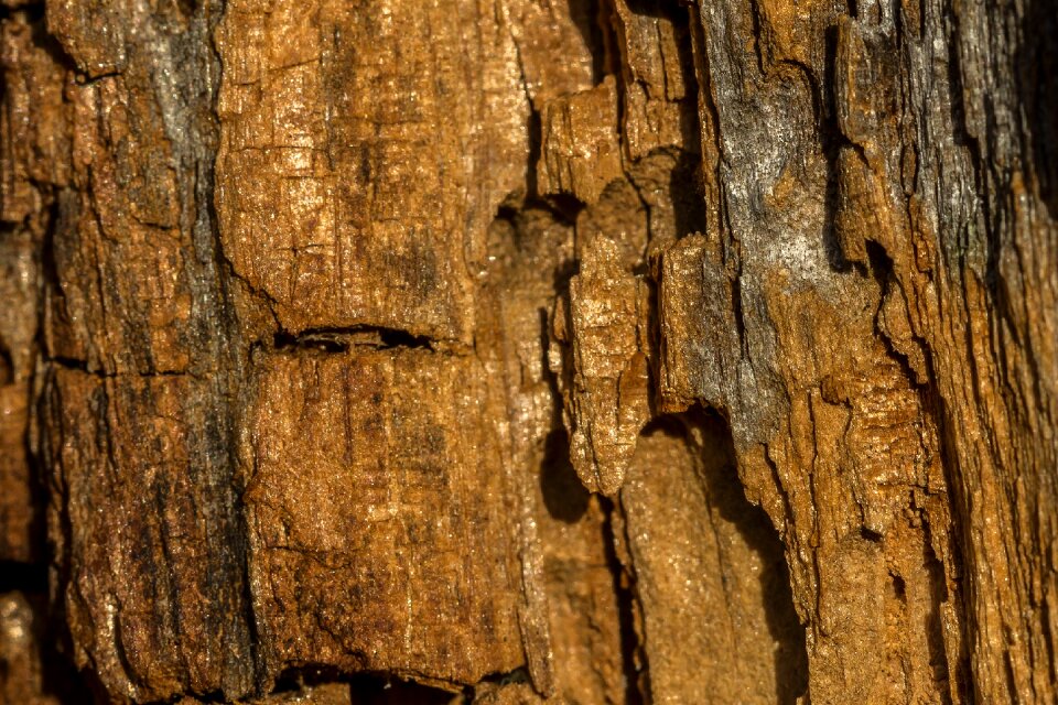 Background structure brown