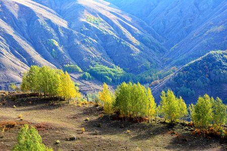 Landscapes nature sky grass photo