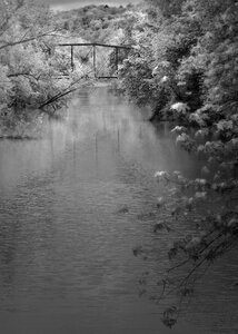 White black abandoned