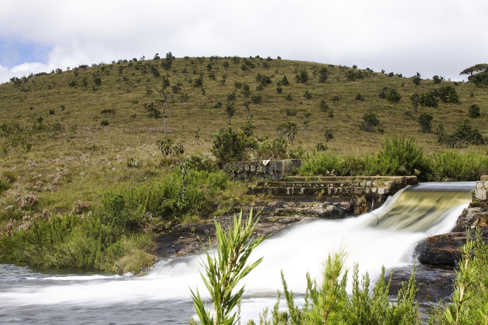 Landscape nature flowing