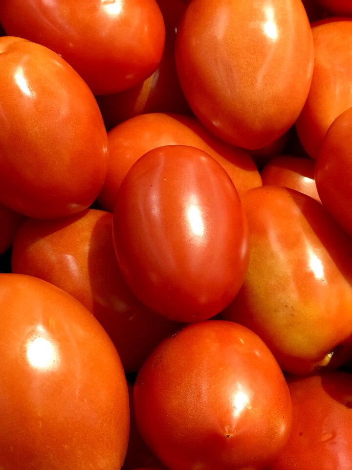 Organic food vegetable