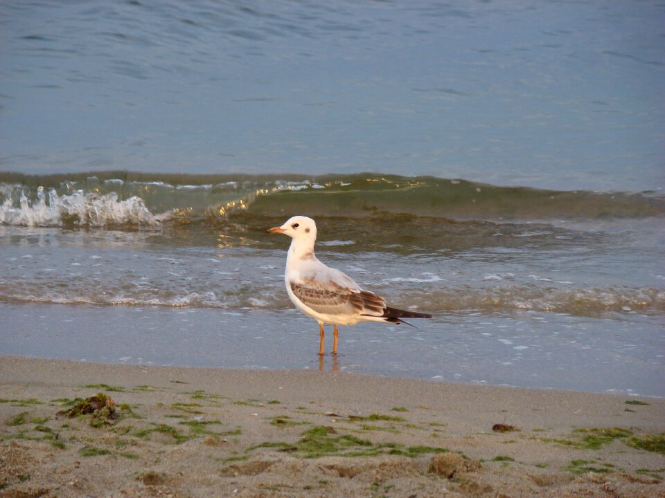 Water sand summer