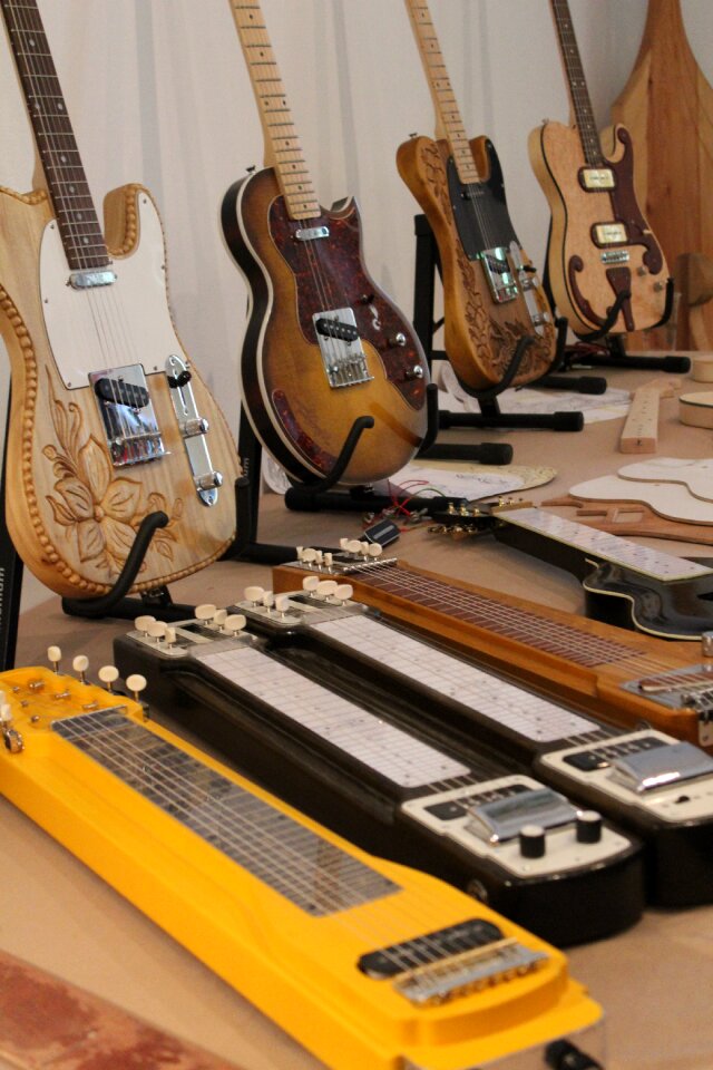 Stringed instrument musical instrument electric guitar