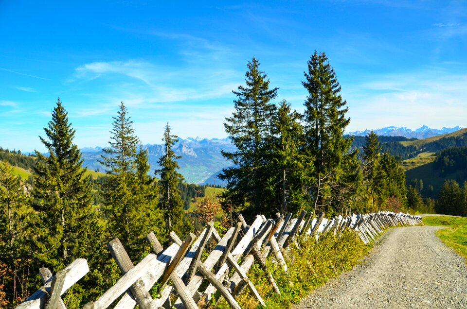 Away fence alpine