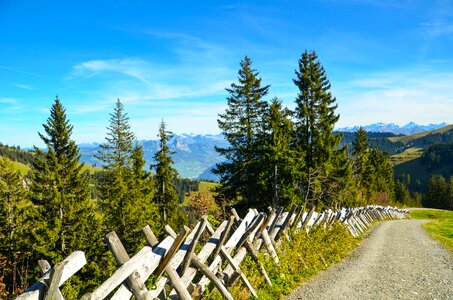 Away fence alpine photo