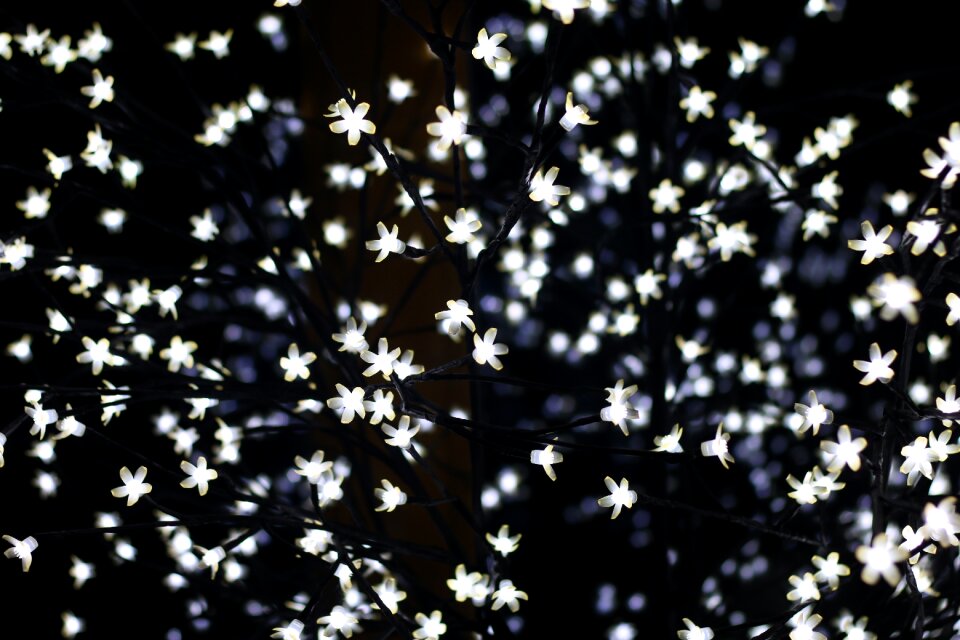 Lichterkette light dark