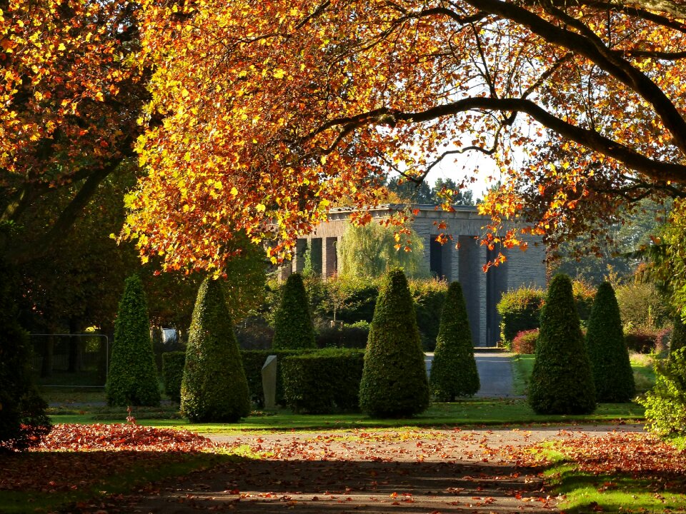 Autumn leaf fall color photo