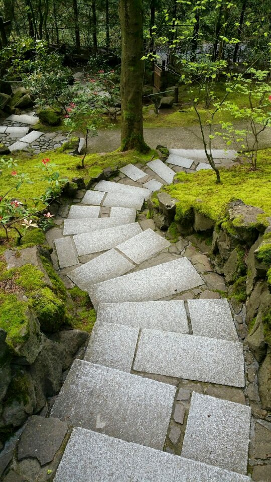 Walk zen meditate