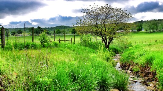 Nature landscape green