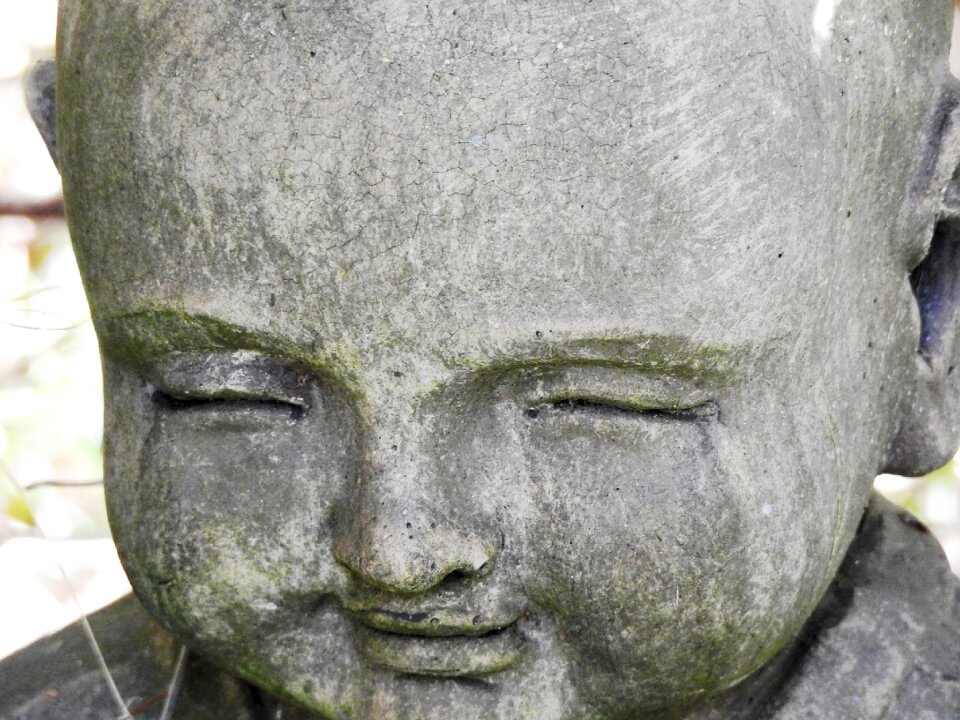 Buddha zen meditation