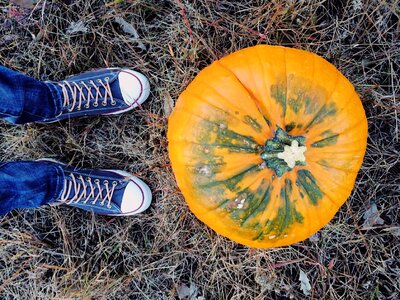 Halloween converse young