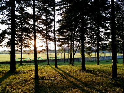 Light solar sunset