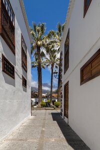 Palm historic center eng
