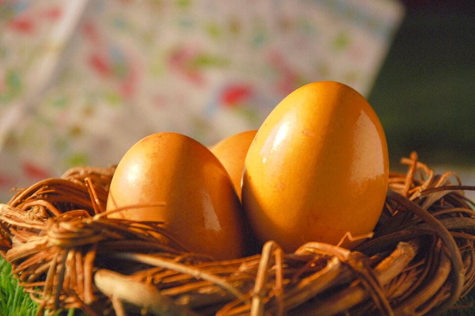 Spring easter time the tradition of