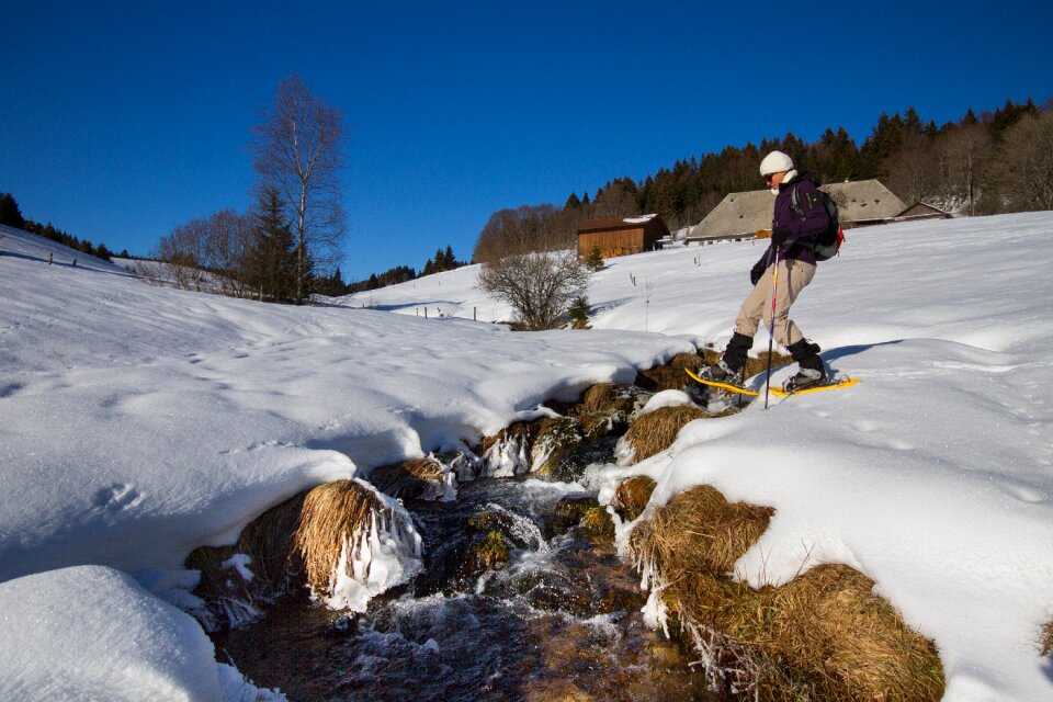 Bach snow landscape crossing