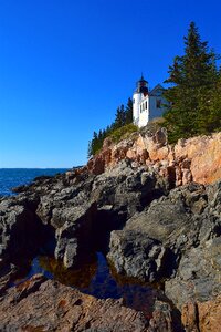 Shoreline ocean pine trees photo