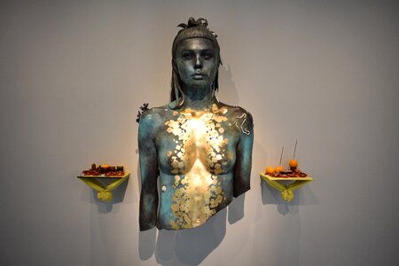 Bust amazone artwork