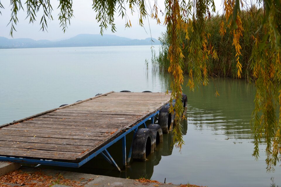 Waterfront lake nature