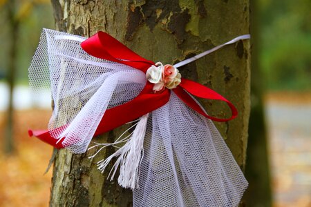 Autumn loop red