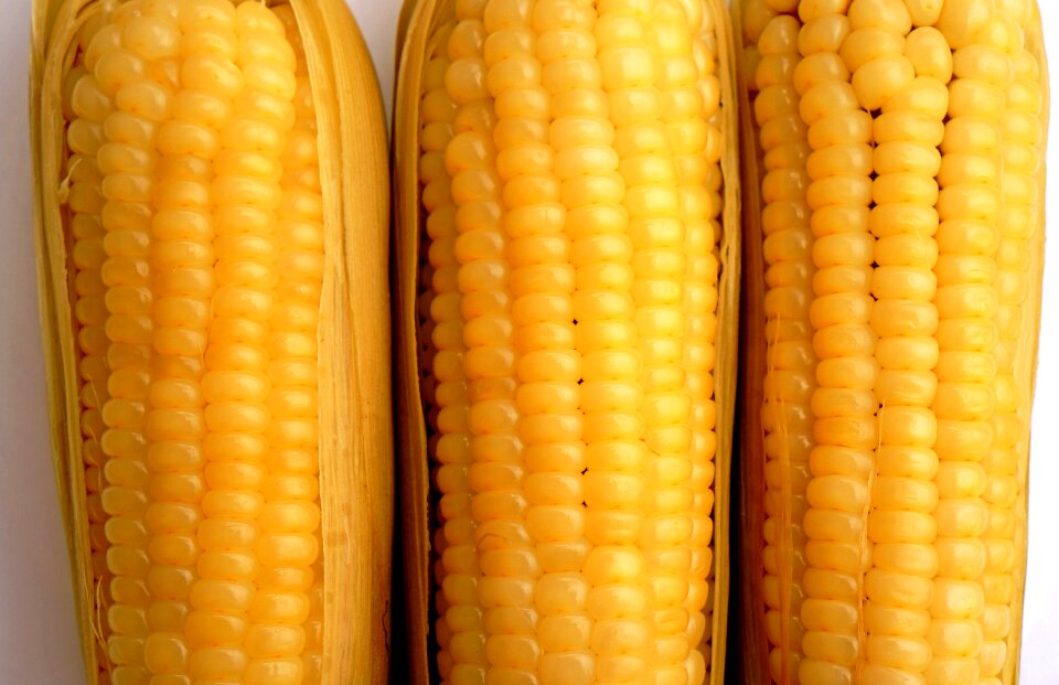 Food muscles background