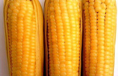 Food muscles background