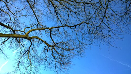 Sky blue aesthetic