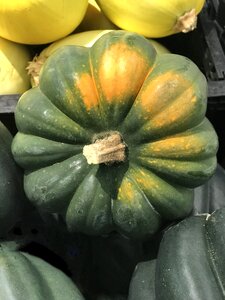 Food fresh vegetable